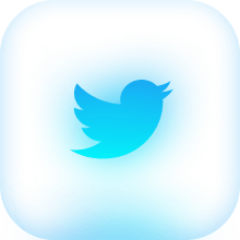 Twitter Icon